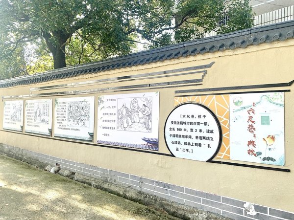 TopBull 桐城市大关镇：践行“六尺巷工作法” 弘扬“礼让”增和美_大皖新闻 | 安徽网