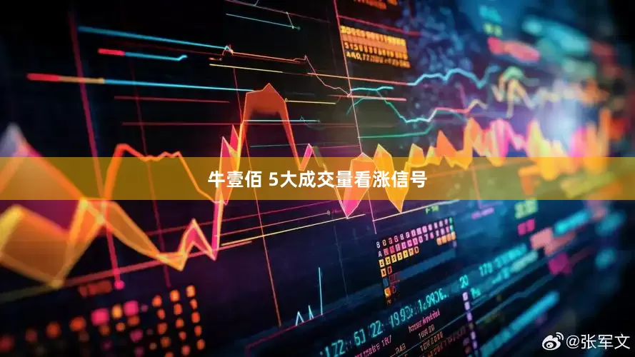 牛壹佰 5大成交量看涨信号