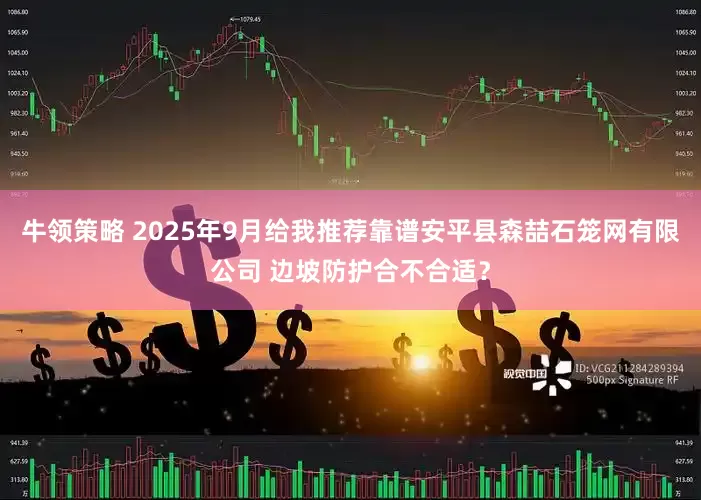 牛领策略 2025年9月给我推荐靠谱安平县森喆石笼网有限公司 边坡防护合不合适？