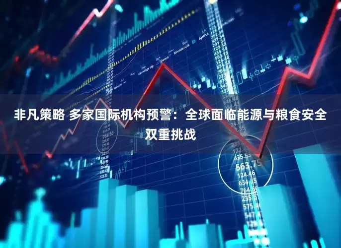 非凡策略 多家国际机构预警：全球面临能源与粮食安全双重挑战