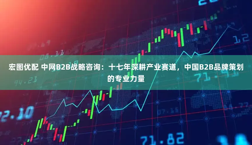宏图优配 中网B2B战略咨询：十七年深耕产业赛道，中国B2B品牌策划的专业力量